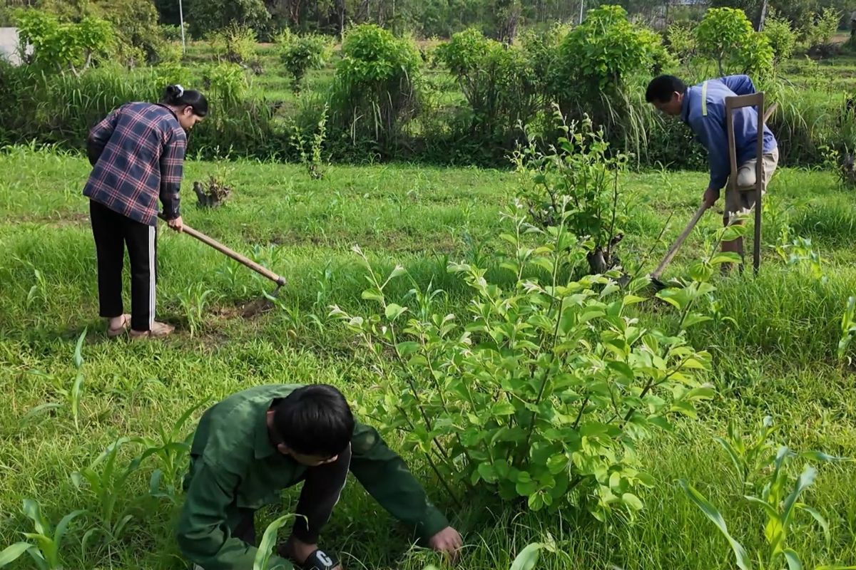 Hình ảnh người cha bị mất một chân vẫn hằng ngày mưu sinh để nuôi các con khiến khán giả không khỏi đau lòng.