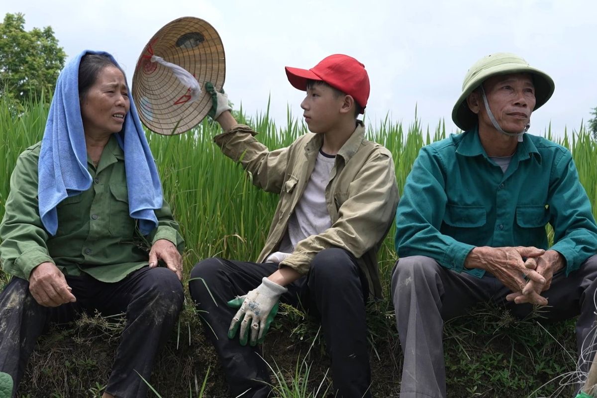 Dù mới 13 tuổi, Hữu Bảo đã biết phụ giúp ông bà ngoại công việc đồng áng, đỡ đần phần nào gánh nặng trong gia đình.